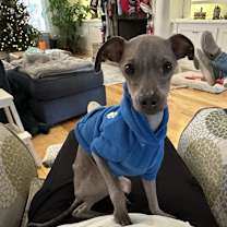 Thumbnail photo of Jack #1