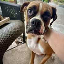 Thumbnail photo of Chata #1