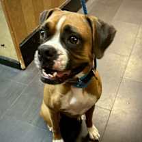 Thumbnail photo of Chata #3