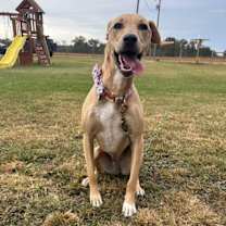 Thumbnail photo of Clohe #1