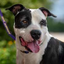 Thumbnail photo of Ferdinand JuM #1