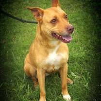 Thumbnail photo of Island Luna JuM #1