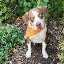 Thumbnail photo of Calvin JuM #4