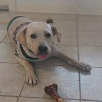 Thumbnail photo of A.J. #1