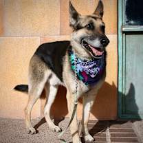 Thumbnail photo of Bear #2