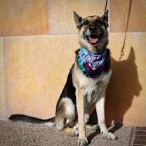 Thumbnail photo of Bear #3