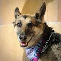 Thumbnail photo of Bear #4