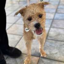 Thumbnail photo of Nala #1