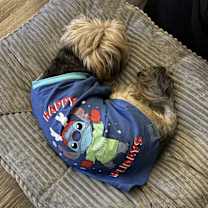 Thumbnail photo of Bella #1