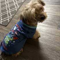 Thumbnail photo of Bella #2