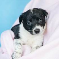 Thumbnail photo of Emily #1