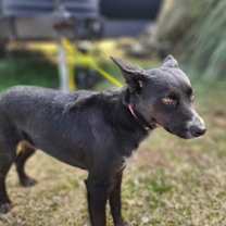 Thumbnail photo of Stormi #4