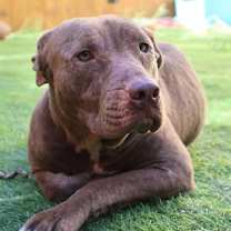 Thumbnail photo of Nixie JuM #3