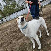 Thumbnail photo of Monty JuM* #2