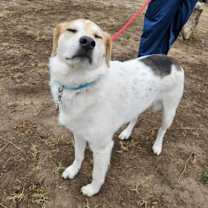 Thumbnail photo of Monty JuM* #3