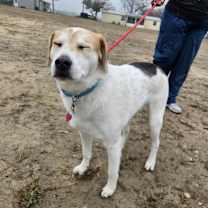 Thumbnail photo of Monty JuM* #4