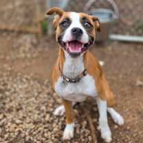 Thumbnail photo of Dollie #1