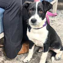 Thumbnail photo of Tundra #3