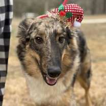 Thumbnail photo of Trouble #1