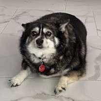 Thumbnail photo of Bean #2