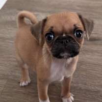 Thumbnail photo of Brooks #1