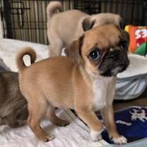 Thumbnail photo of Brooks #3