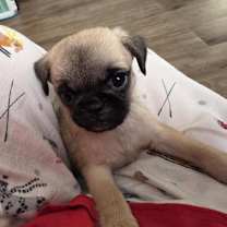 Thumbnail photo of Reebok #3