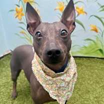 Thumbnail photo of Diego Rivera #1