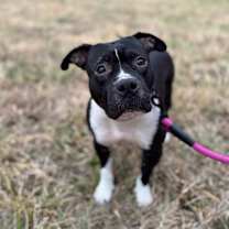 Thumbnail photo of Tatiana #1