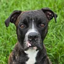 Thumbnail photo of Barney #1