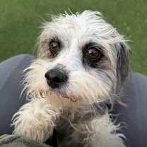 Thumbnail photo of Jenna #2