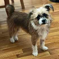 Thumbnail photo of Holly #2