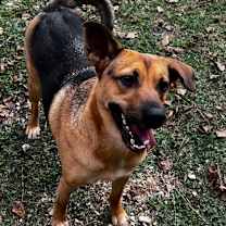 Thumbnail photo of Flop #4