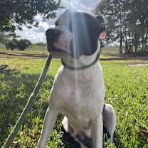 Thumbnail photo of Miss November #3