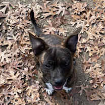 Thumbnail photo of Bradley #2