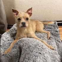 Thumbnail photo of ECHO #4