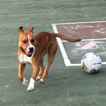 Thumbnail photo of Leighton #4