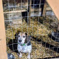 Thumbnail photo of Katie #2