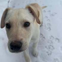 Thumbnail photo of Kit #2