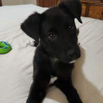 Thumbnail photo of Nova #2