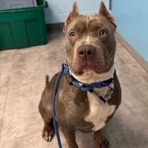 Thumbnail photo of Misha #2