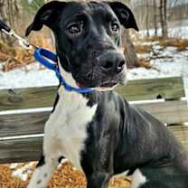 Thumbnail photo of Dixy #1