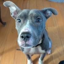 Thumbnail photo of Daria #3