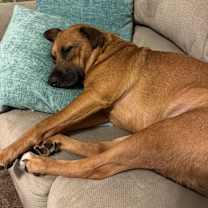 Thumbnail photo of Nola #3