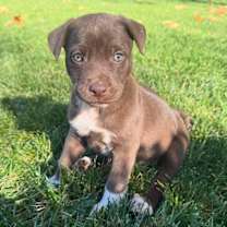 Thumbnail photo of Ivy and Eve #2