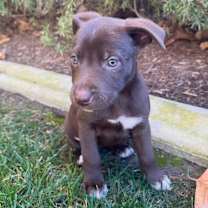 Thumbnail photo of Ivy and Eve #3