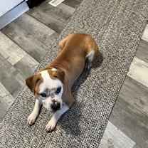 Thumbnail photo of Sage #3