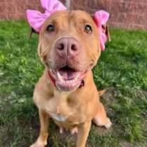 Thumbnail photo of Blessyin  #2