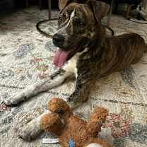 Thumbnail photo of Ridgely  #3