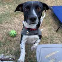 Thumbnail photo of Specks #4